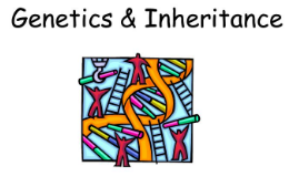 Genetics and Inheritance
